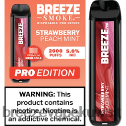 2VVBXT12 Breeze Pro 2000 نفث Breeze vape pro - الفراولة والخوخ والنعناع