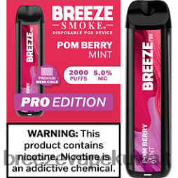 2VVBXT17 Breeze Pro 2000 نفث Breeze vape wholesale price - بوم بيري نعناع