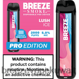 2VVBXT22 Breeze Pro 2000 نفث Breeze vape pro - الجليد الخصب