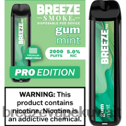 2VVBXT24 Breeze Pro 2000 نفث Breeze vape price - صمغ النعناع